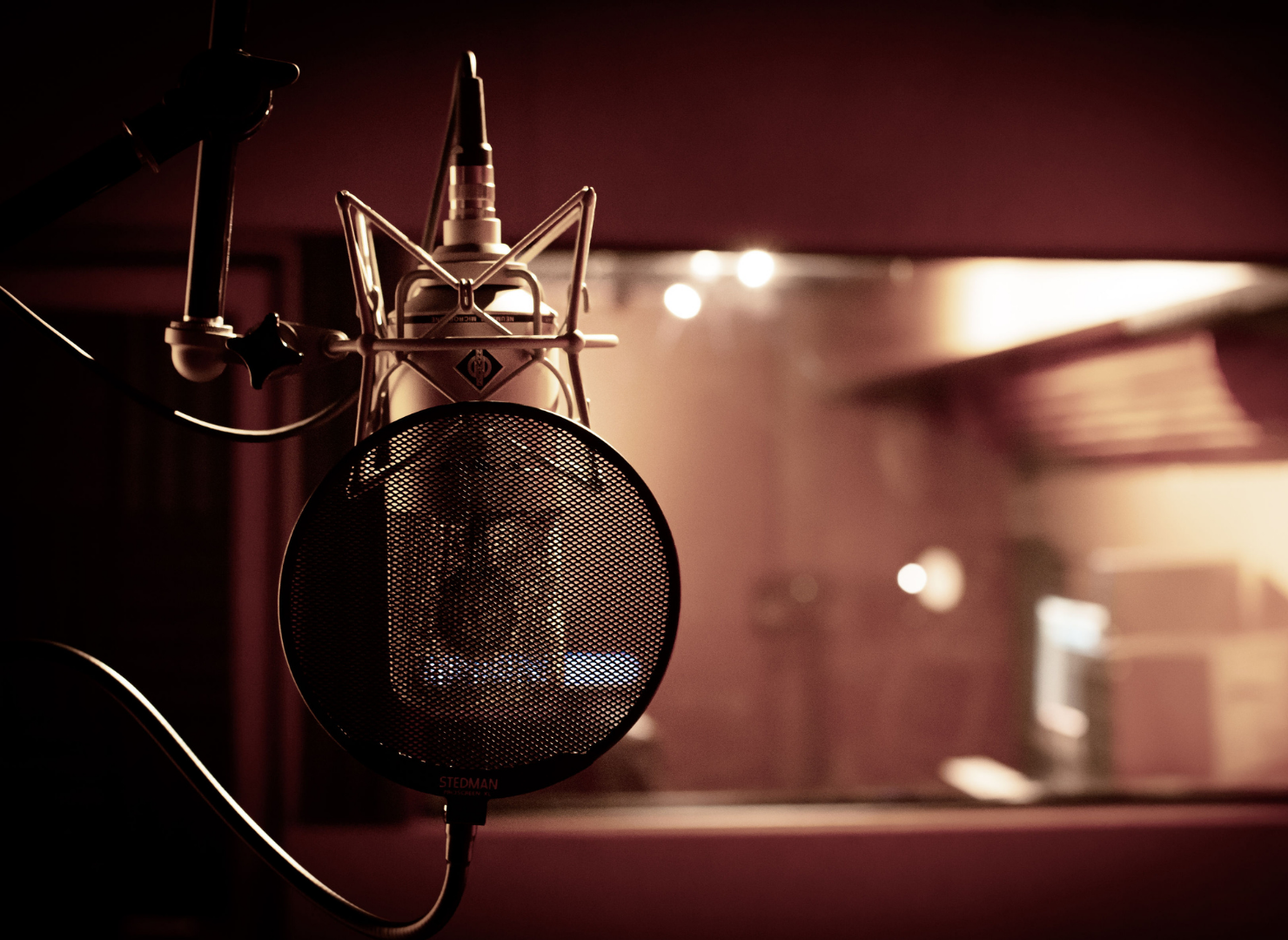 Independent Artist